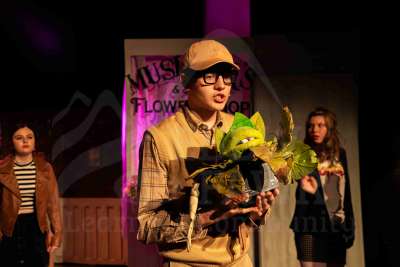 The Little Shop of Horrors